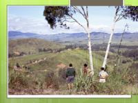 View across Aiyura Valley (Photo A J Radford).